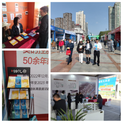 園區(qū)公積金助力岳陽惠民房交會，提供專業(yè)房地產(chǎn)咨詢服務(wù)